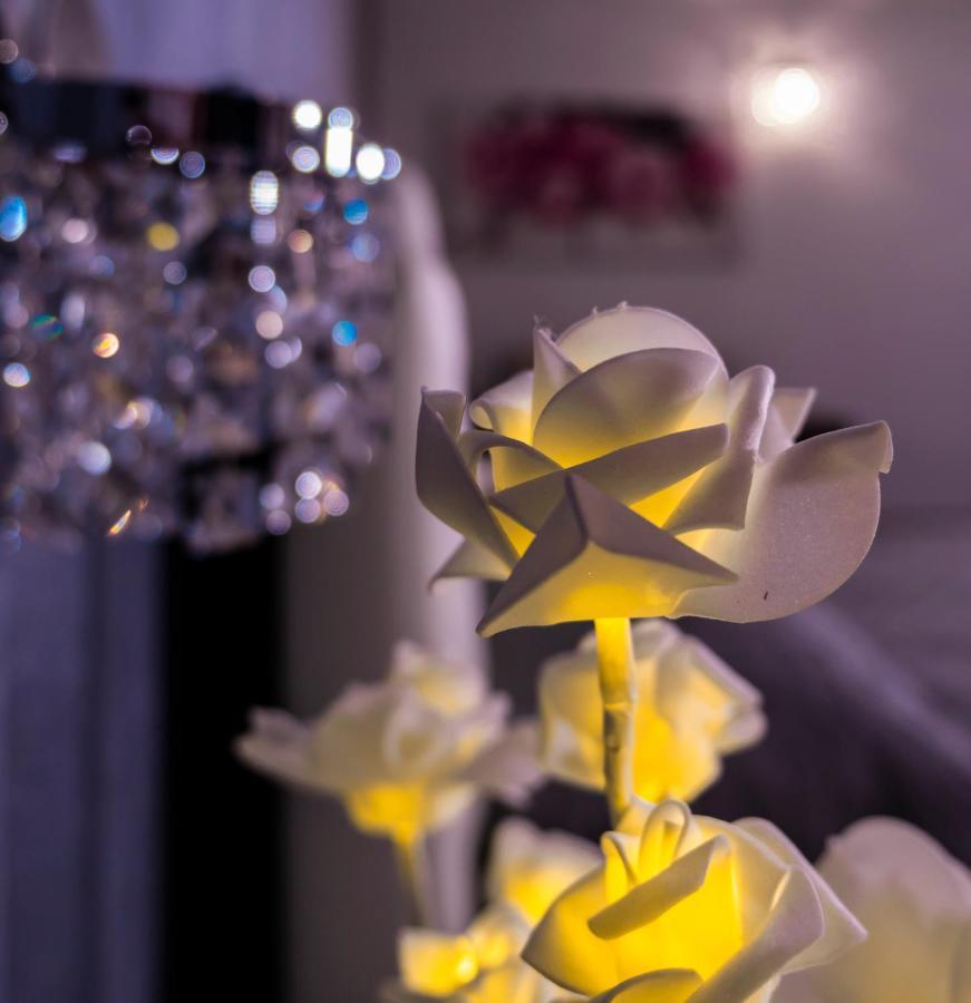 Le Rose Bed and Breakfast Nettuno Eksteriør billede