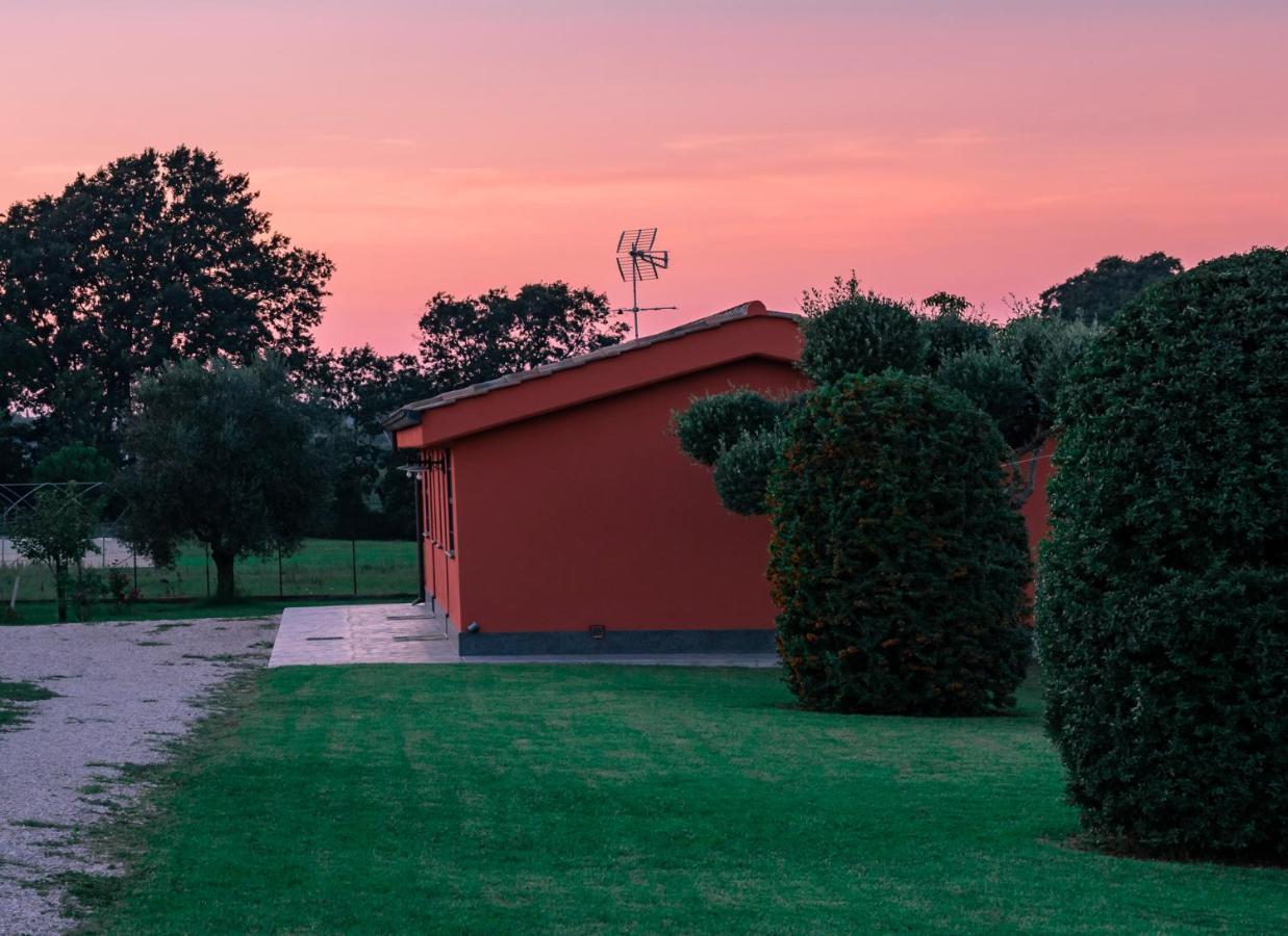 Le Rose Bed and Breakfast Nettuno Eksteriør billede