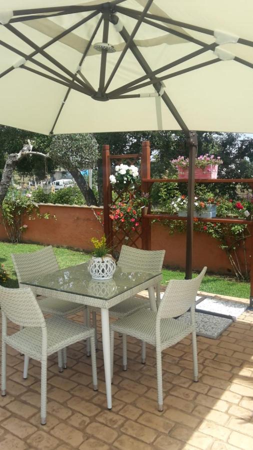 Le Rose Bed and Breakfast Nettuno Eksteriør billede
