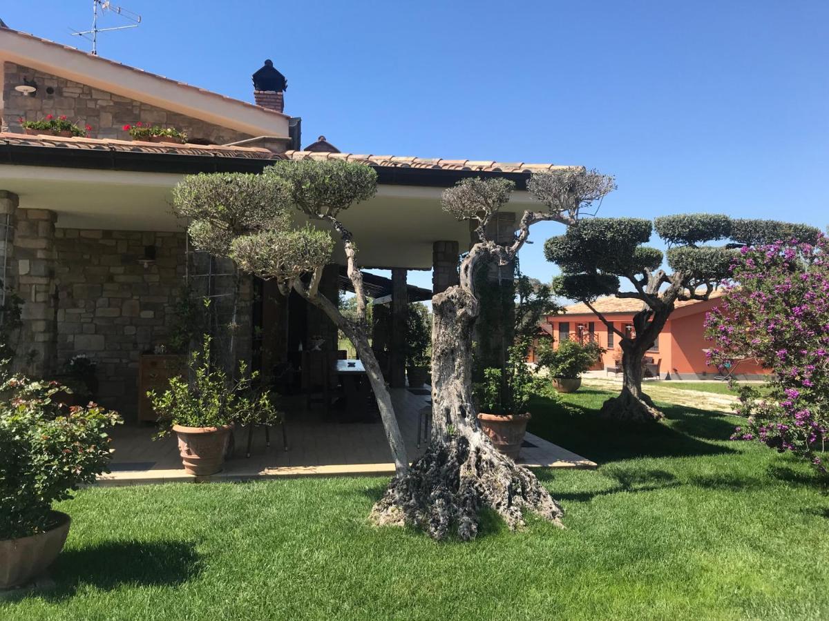Le Rose Bed and Breakfast Nettuno Eksteriør billede