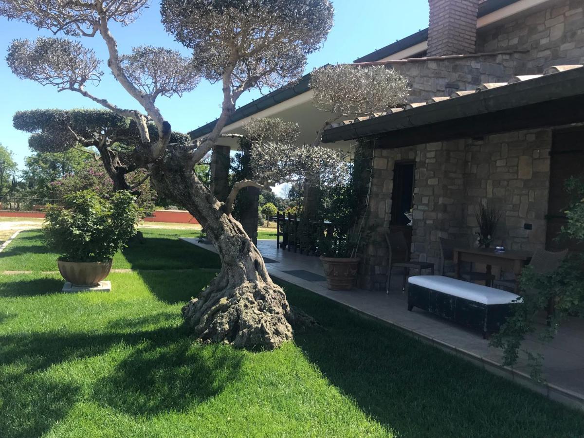 Le Rose Bed and Breakfast Nettuno Eksteriør billede